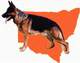 German Shepherd Dog Leaugue NSW Inc.