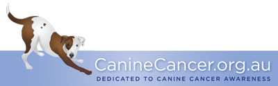 canine cancer