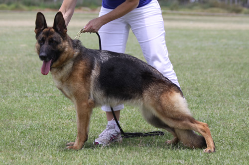 Sundaneka WHITE SATIN