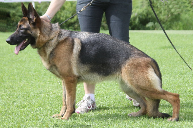 Sundaneka JOAN OF ARC