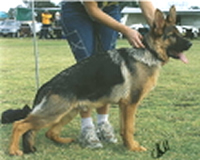 Lesmarlo Jesse James