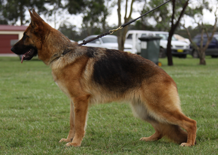 Sundaneka CALYPSO COCO COLADA