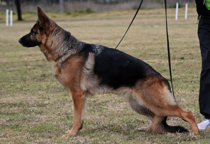 Sundaneka French Kiss