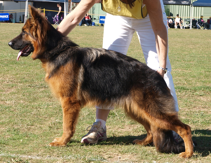 Sundaneka XYNAS XCTASY