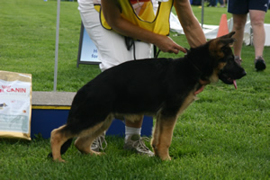 Sundaneka Bonnie Belle