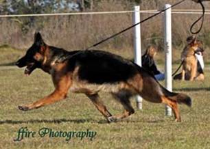 Sundaneka Safari Queen