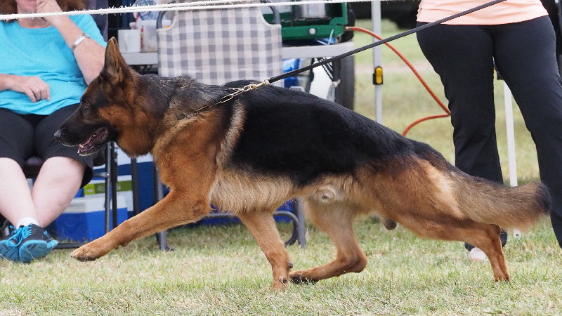 SUNDANEKA THUNDA DOWNUNDA