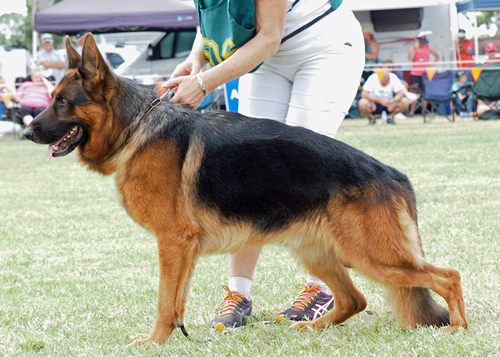 SUNDANEKA THUNDA DOWN UNDA