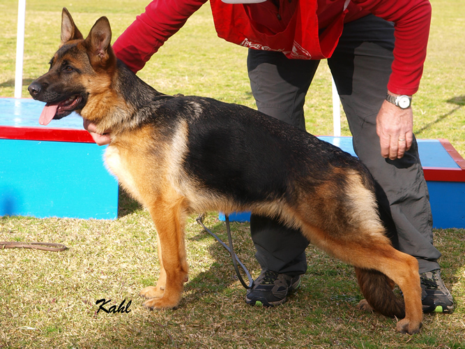 Conkasha Cosmic Angel