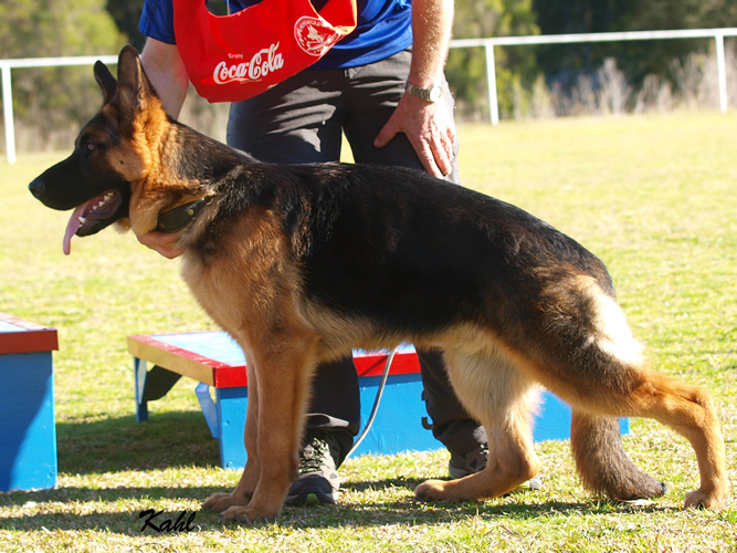 Conkasha Lethal Storm