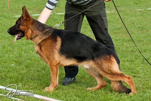 Glenn vom Uckerstrom