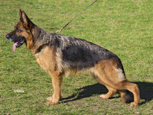 2 TIME VA-NASS Only vom Lüttersbruch