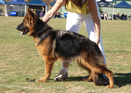 Sundaneka_Xynas_Xcstacy