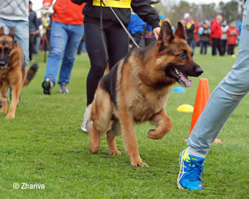 VABLO VOM OSTERBERGER-LAND