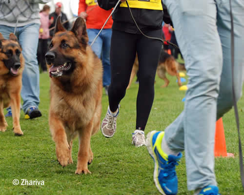 VABLO VOM OSTERBERGER-LAND