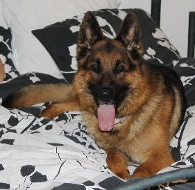 Vablo vom Osterberger-Land